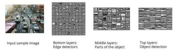 Figure 3: Layers of CNN. Image sources: Unsplash; Lee H. et al. (2011). Unsupervised Learning of Hierarchical Representations with Convolutional Deep Belief Networks. Communications Of The ACM