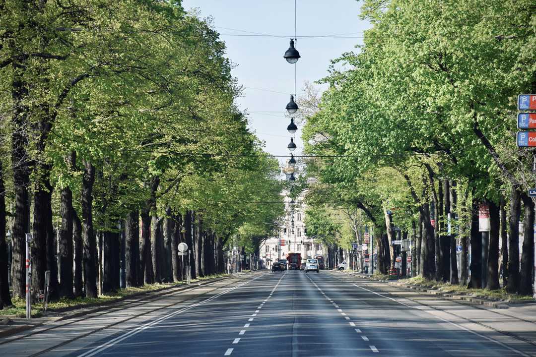 Figure 1: Ringstrasse, Vienna. Photo by Arno Senoner on Unsplash