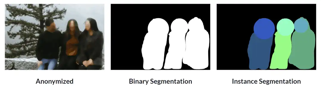 Figure 2: Anonymization, binary segmentation and instance segmentation applied to an image with Celantur software