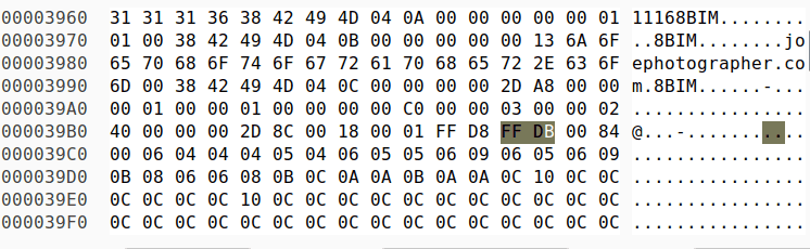 HEX view of the metadata.jpg image